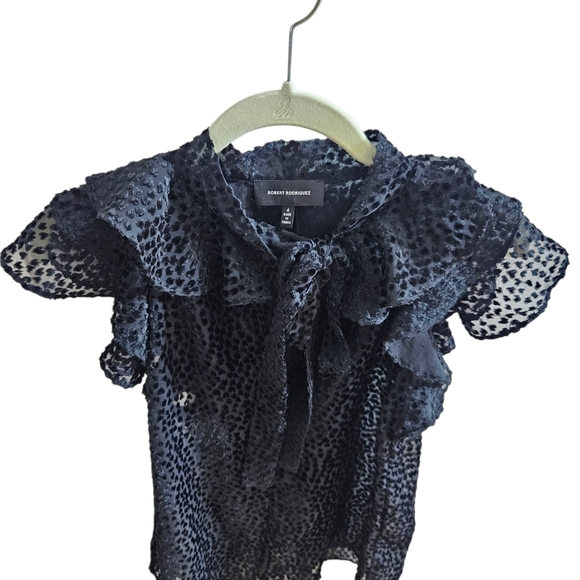 Robert Rodriguez Pauline Burnout Velvet Top Black Sheer Ruffled Sleeves size 4 - Picture 5 of 10